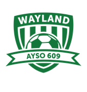 Region 609