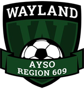 Region 609