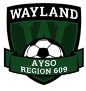 Region 609